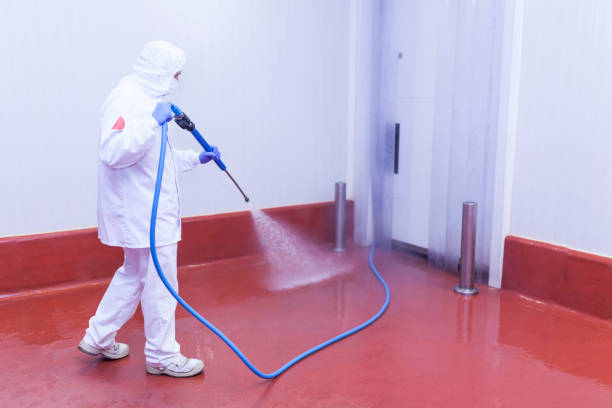 Best Winterizing Services  in Point Pleasant, WV